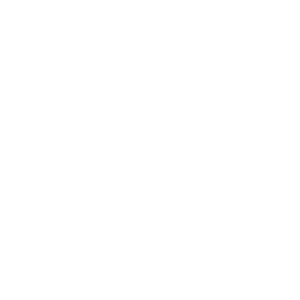 Immersioni